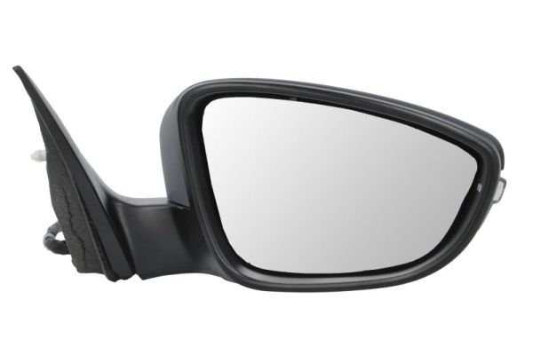 Blic Buitenspiegel 5402-01-2002694P