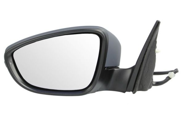 Blic Buitenspiegel 5402-01-2002697P