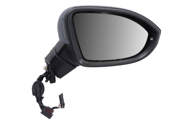 Blic Buitenspiegel 5402-01-2526315P