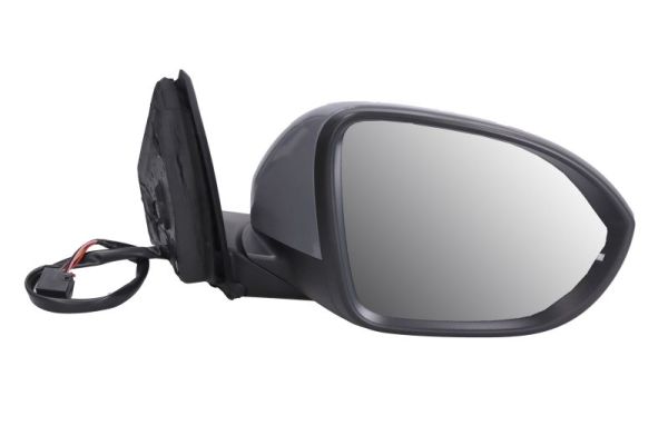 Blic Buitenspiegel 5402-01-2542311P