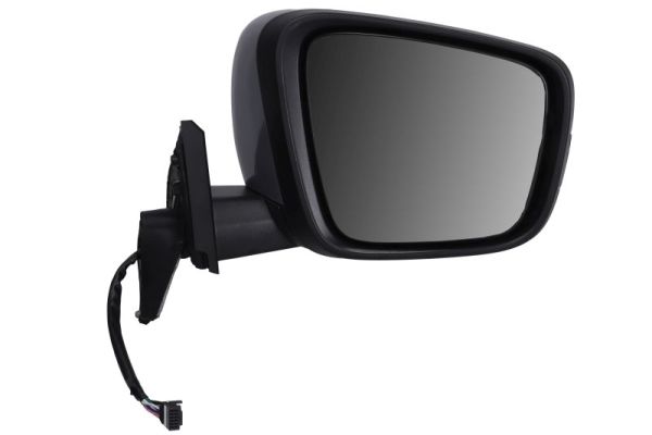 Blic Buitenspiegel 5402-02-2435317P