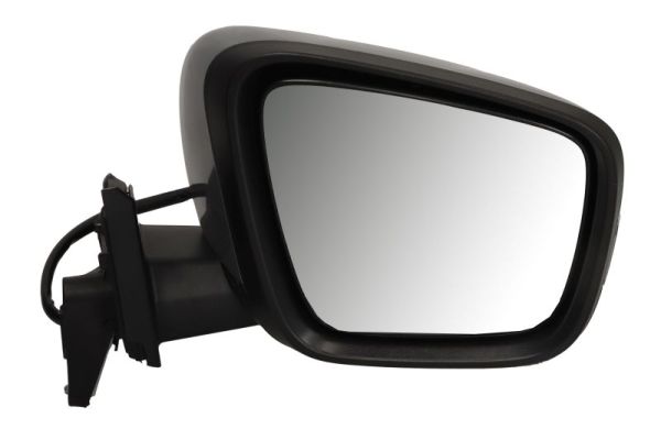 Blic Buitenspiegel 5402-02-2435319P