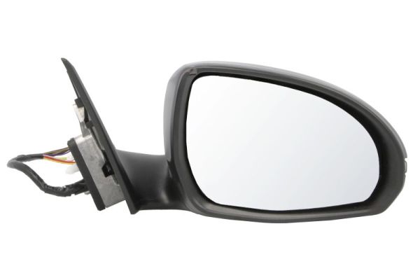 Blic Buitenspiegel 5402-02-2475313P