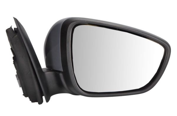 Blic Buitenspiegel 5402-03-2152317P