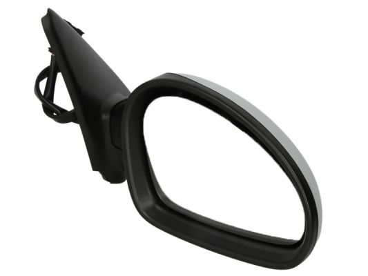 Blic Buitenspiegel 5402-04-1129997P