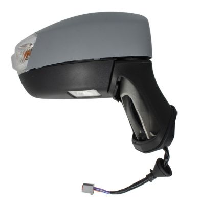 Blic Buitenspiegel 5402-04-9929384P