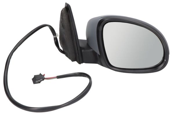 Blic Buitenspiegel 5402-04-9939131P