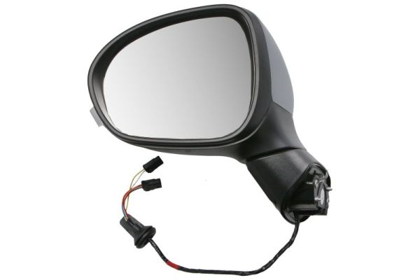 Blic Buitenspiegel 5402-07-0302312P