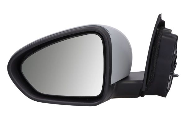 Blic Buitenspiegel 5402-07-0354312P