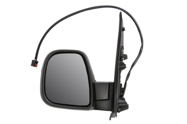 Blic Buitenspiegel 5402-07-2491310P