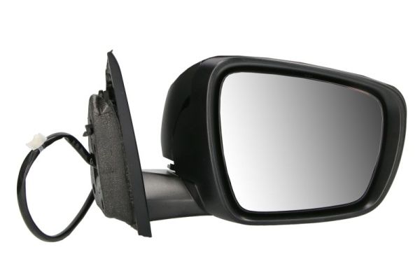 Blic Buitenspiegel 5402-09-1208311P