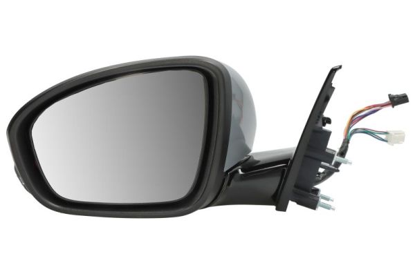 Blic Buitenspiegel 5402-09-1243316P