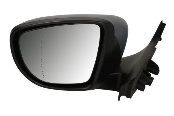 Blic Buitenspiegel 5402-09-1256312P