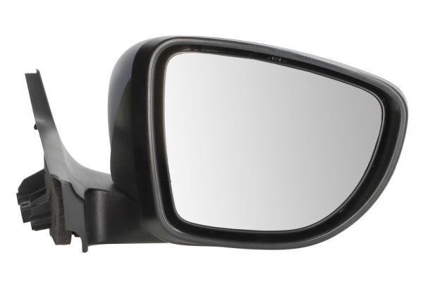 Blic Buitenspiegel 5402-09-1256315P