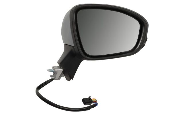 Blic Buitenspiegel 5402-09-2313313P