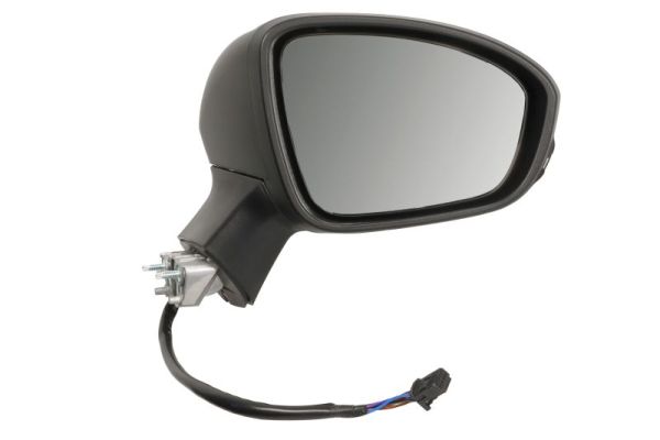 Blic Buitenspiegel 5402-09-2313317P