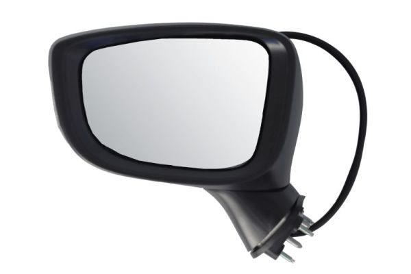 Blic Buitenspiegel 5402-14-0741312P