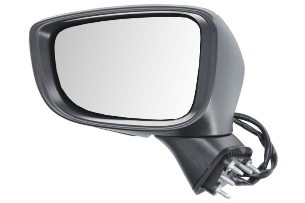 Blic Buitenspiegel 5402-14-0741316P