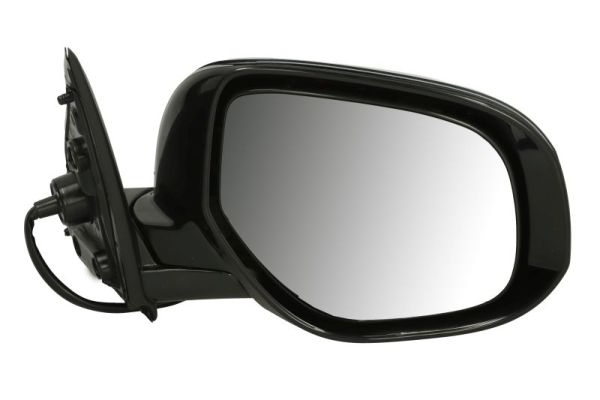 Blic Buitenspiegel 5402-15-2001862P