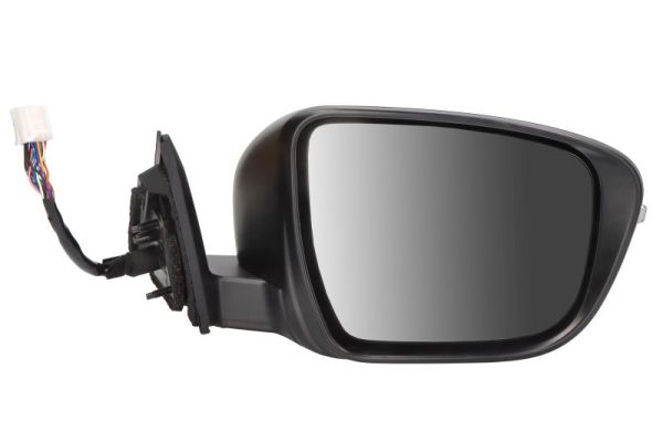 Blic Buitenspiegel 5402-16-1036323P