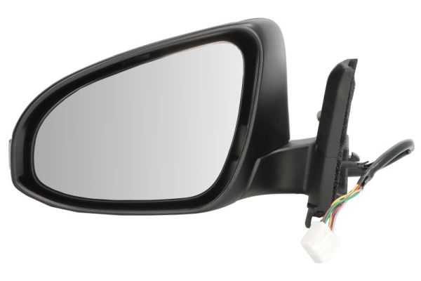 Blic Buitenspiegel 5402-19-1491320P