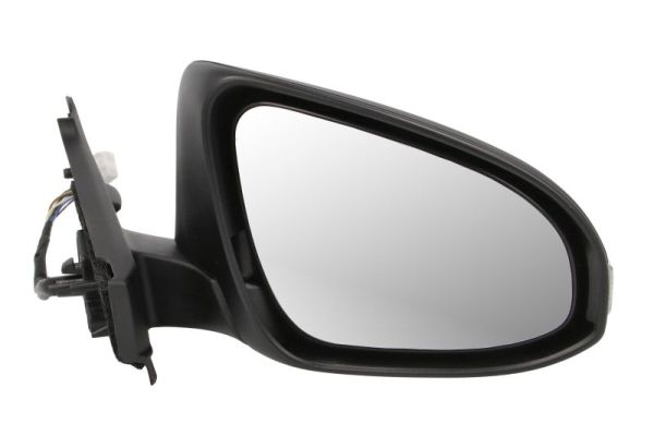 Blic Buitenspiegel 5402-19-1491321P