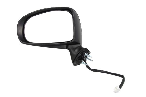 Blic Buitenspiegel 5402-19-2002449P