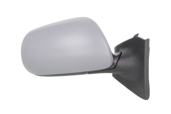 Blic Buitenspiegel 5402-19-2002544P