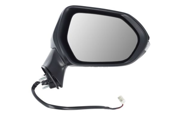 Blic Buitenspiegel 5402-19-2176311P