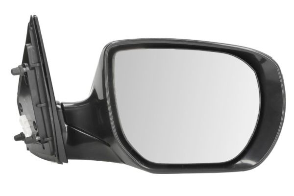 Blic Buitenspiegel 5402-20-0556313P