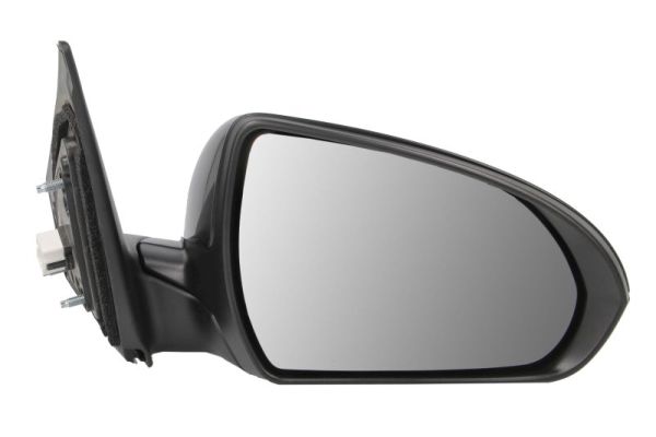 Blic Buitenspiegel 5402-20-1729311P