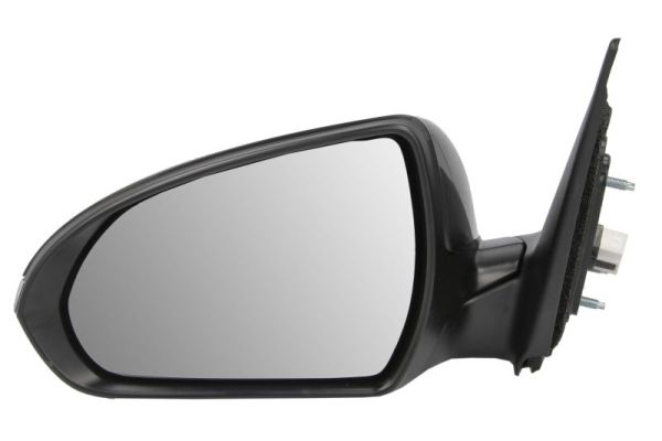 Blic Buitenspiegel 5402-20-1729314P