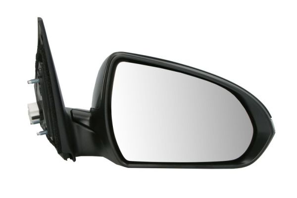 Blic Buitenspiegel 5402-20-1729315P