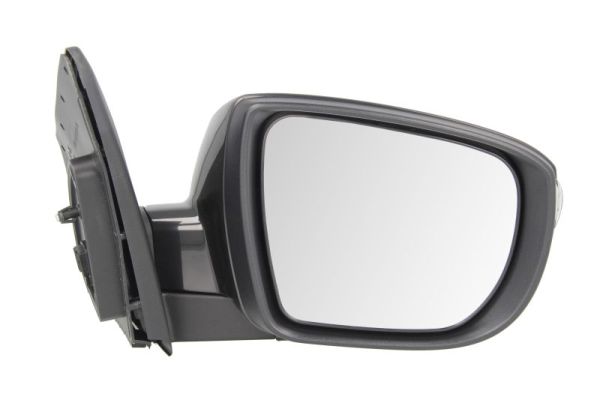 Blic Buitenspiegel 5402-20-2001422P