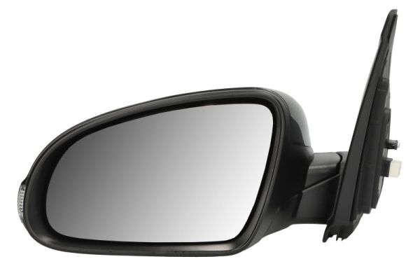 Blic Buitenspiegel 5402-20-2238310P