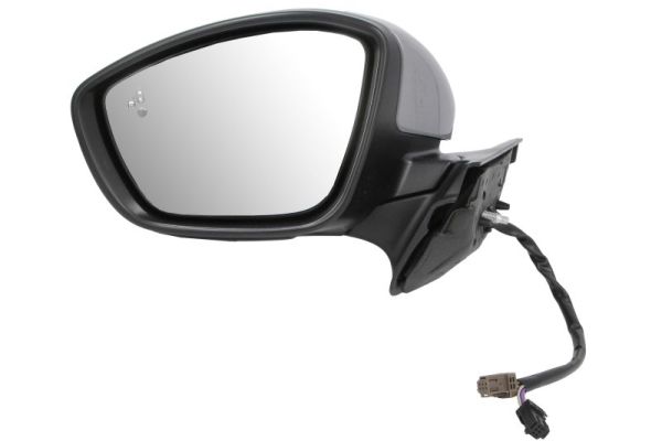 Blic Buitenspiegel 5402-21-0199322P