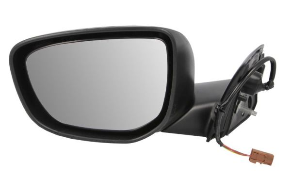 Blic Buitenspiegel 5402-21-0204310P