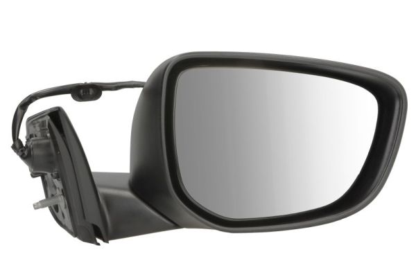 Blic Buitenspiegel 5402-21-0204313P