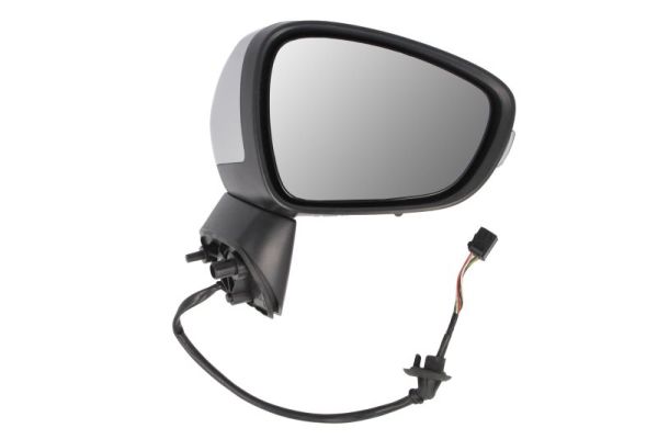 Blic Buitenspiegel 5402-21-1882319P