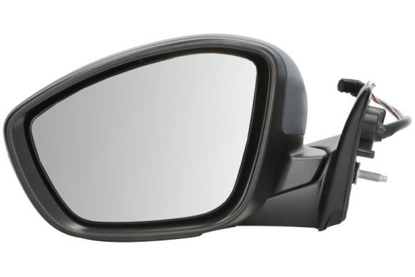 Blic Buitenspiegel 5402-21-2142312P