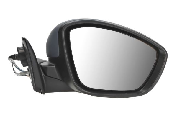 Blic Buitenspiegel 5402-21-2142313P