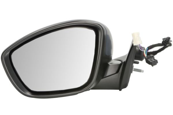 Blic Buitenspiegel 5402-21-2142314P