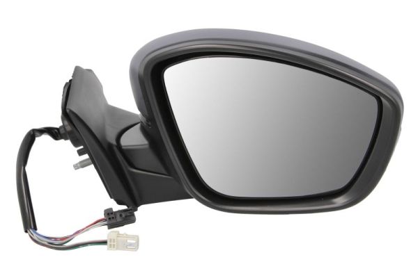 Blic Buitenspiegel 5402-21-2142315P