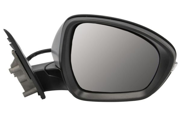 Blic Buitenspiegel 5402-22-2075313P