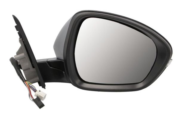 Blic Buitenspiegel 5402-22-2075315P