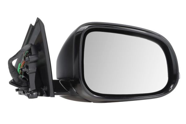 Blic Buitenspiegel 5402-24-1523313P