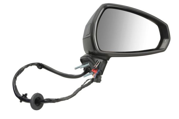 Blic Buitenspiegel 5402-25-0047317P