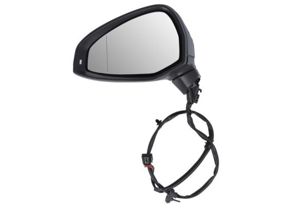 Blic Buitenspiegel 5402-25-0054310P