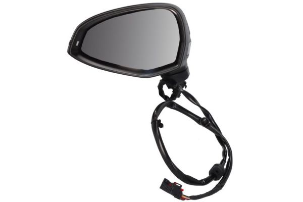 Blic Buitenspiegel 5402-25-0054312P