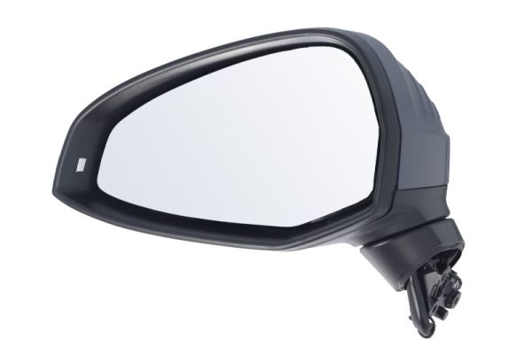 Blic Buitenspiegel 5402-25-0054318P